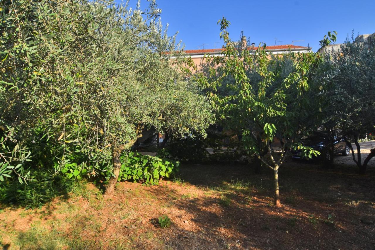 Appartement Edita